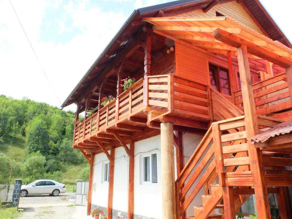 Pension Ioana Lavita Vadu Izei Exterior photo