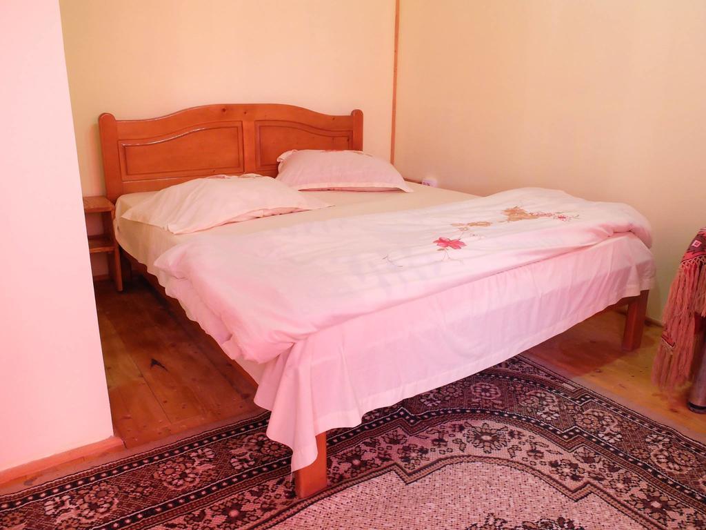 Pension Ioana Lavita Vadu Izei Exterior photo
