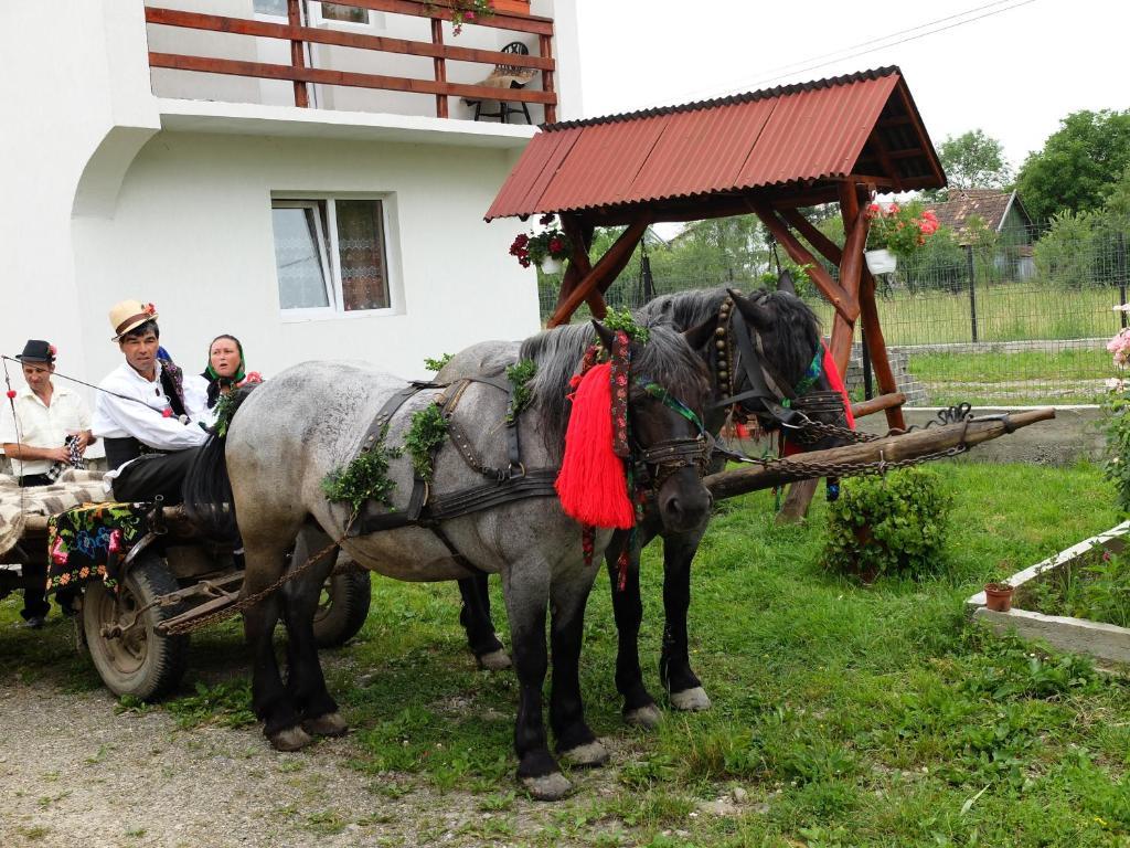 Pension Ioana Lavita Vadu Izei Exterior photo