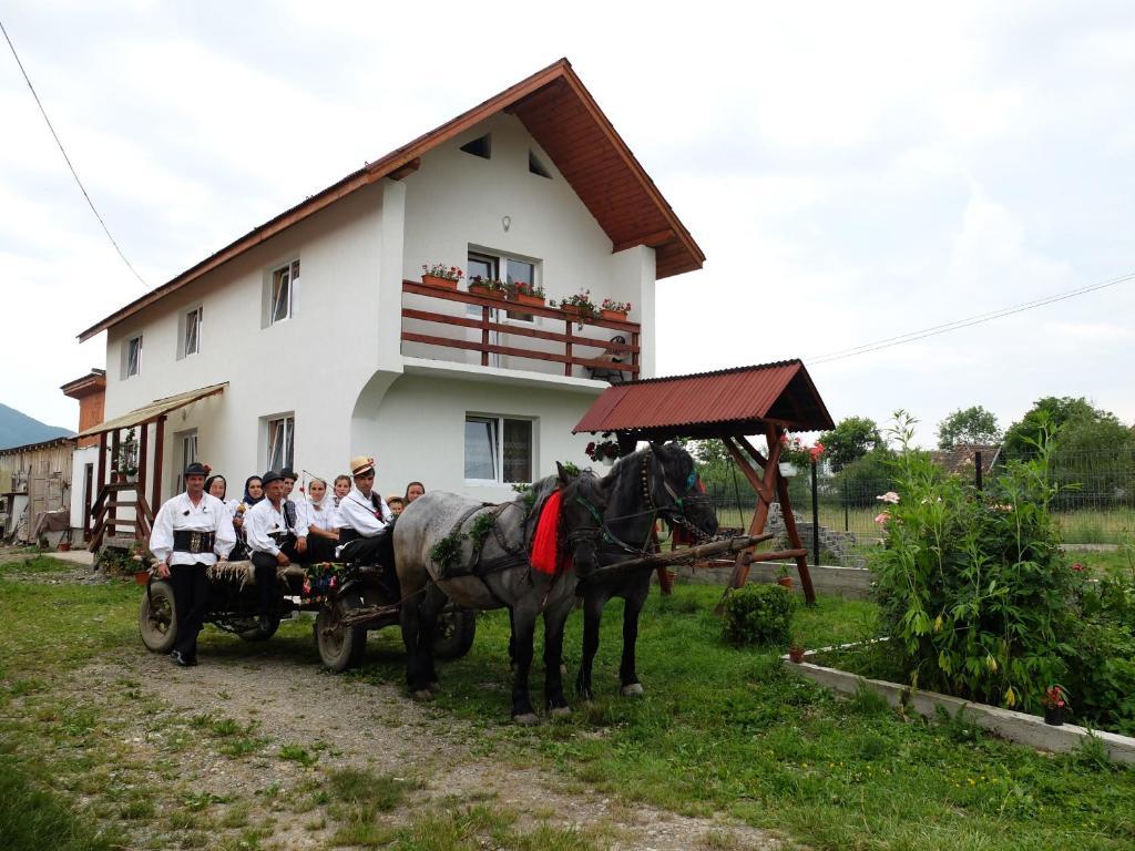 Pension Ioana Lavita Vadu Izei Exterior photo